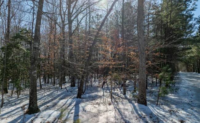 4881 Centerville Road, James City County, VA 23188