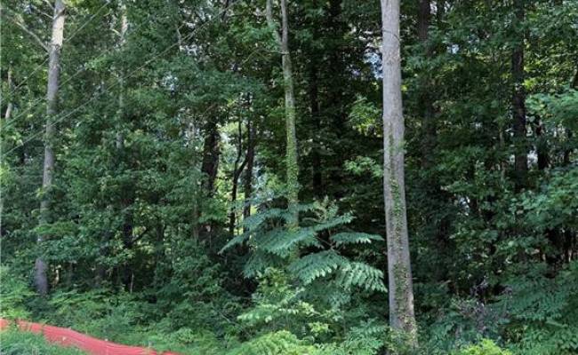 1117 Jackson Street, Virginia Beach, VA 23451