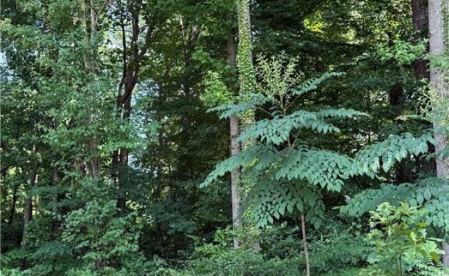 1117 Jackson Street, Virginia Beach, VA 23451