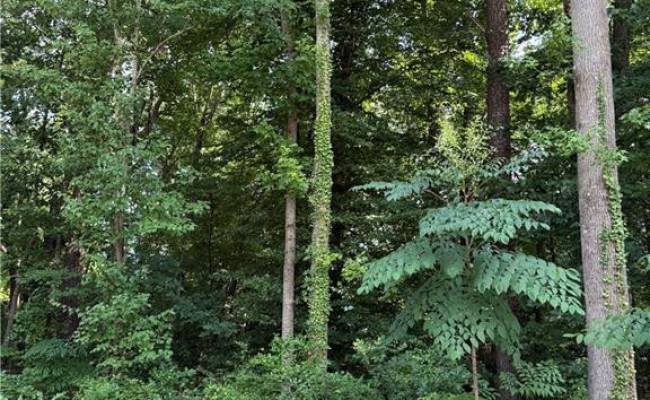 1117 Jackson Street, Virginia Beach, VA 23451