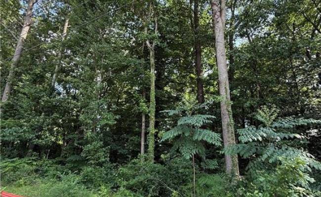 1117 Jackson Street, Virginia Beach, VA 23451