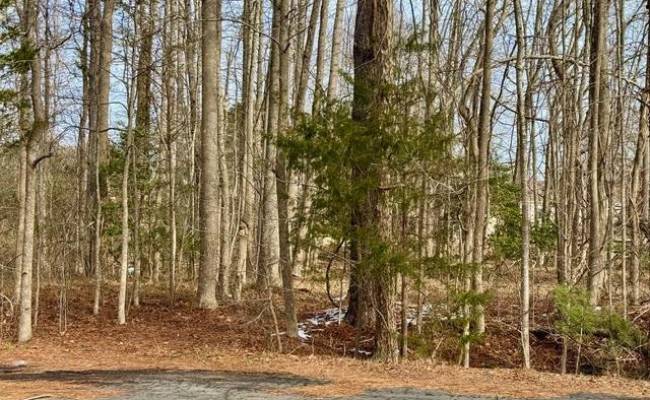 Lot 14 Gary Court, Gloucester County, VA 23061