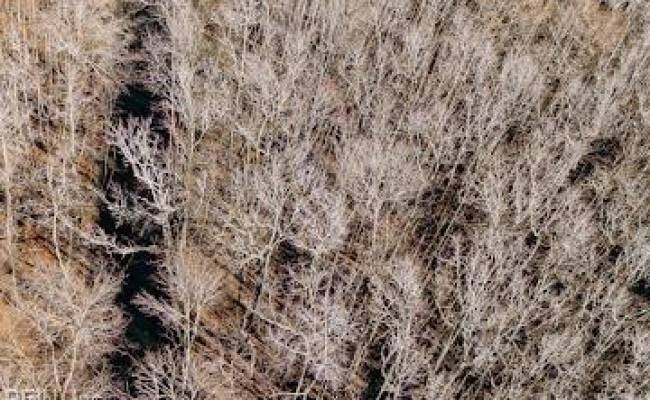 1320 Northside Road, Elizabeth City, NC 27909