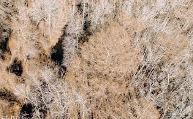 1320 Northside Road, Elizabeth City, NC 27909