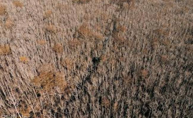 1320 Northside Road, Elizabeth City, NC 27909