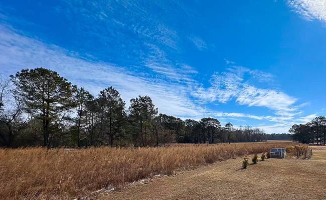 7175 Corinth Chapel Road, Suffolk, VA 23437