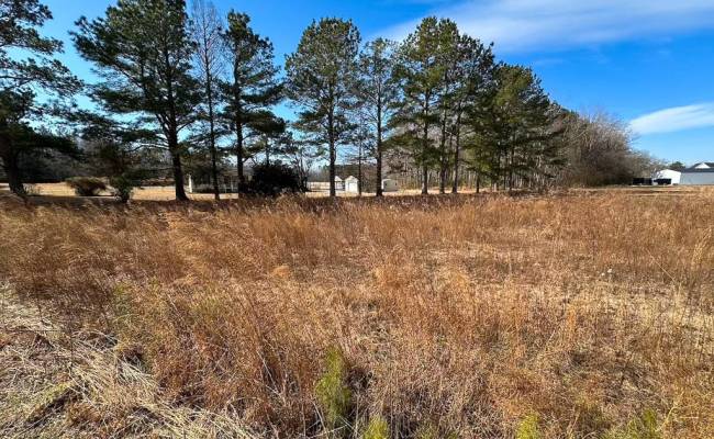 7175 Corinth Chapel Road, Suffolk, VA 23437