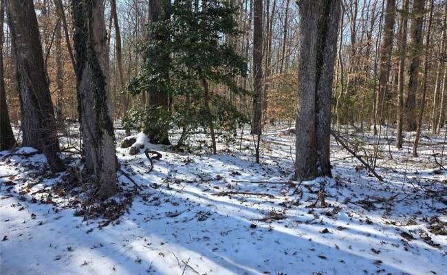 10+AC Whitetail Drive, Gloucester County, VA 23061