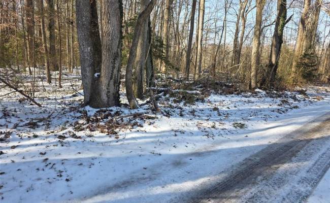 10+AC Whitetail Drive, Gloucester County, VA 23061