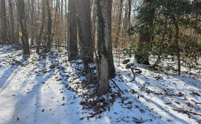 10+AC Whitetail Drive, Gloucester County, VA 23061