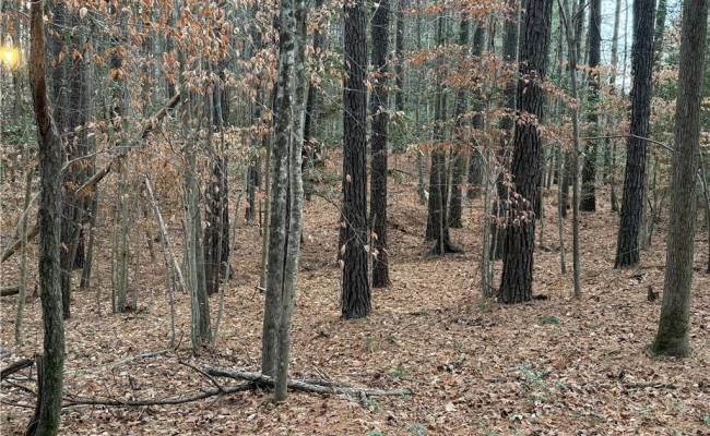 13441 Morris Creek Crescent, Charles City County, VA 23030