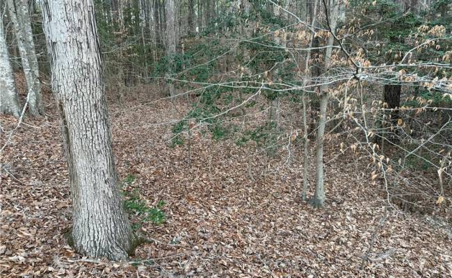 13441 Morris Creek Crescent, Charles City County, VA 23030