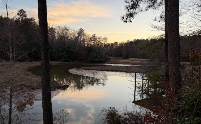 13441 Morris Creek Crescent, Charles City County, VA 23030