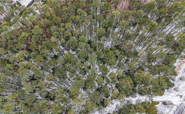 13441 Morris Creek Crescent, Charles City County, VA 23030