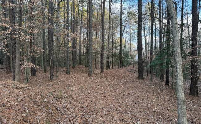 13441 Morris Creek Crescent, Charles City County, VA 23030