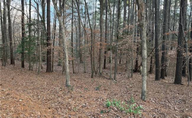 13441 Morris Creek Crescent, Charles City County, VA 23030