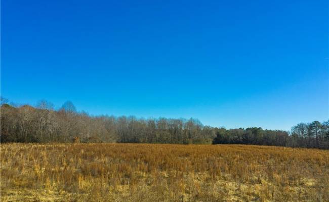 8374 Rolfe (Lot C) Highway, Surry County, VA 23839
