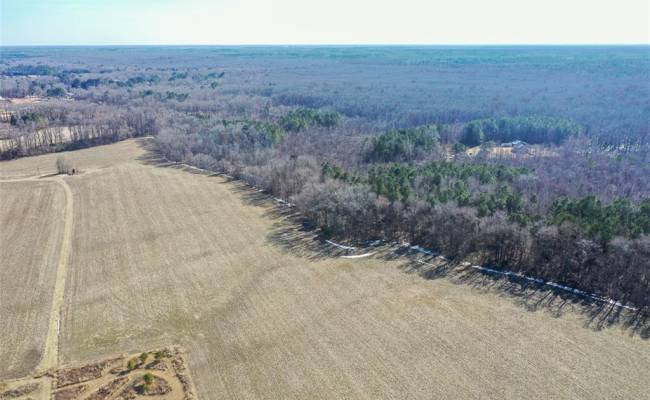 Lot B Buskey Road, Chesapeake, VA 23322