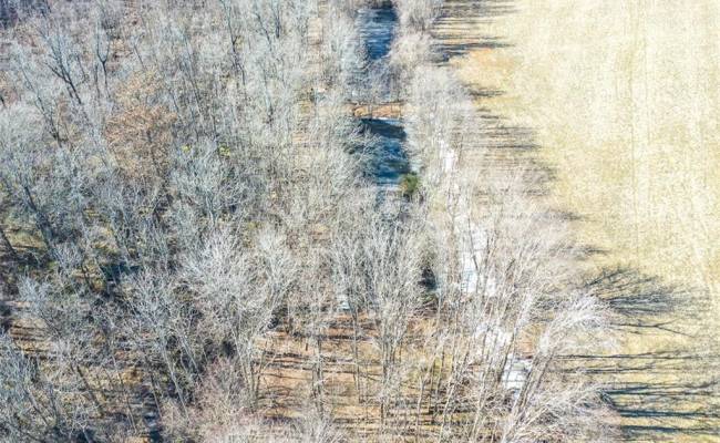 Lot B Buskey Road, Chesapeake, VA 23322