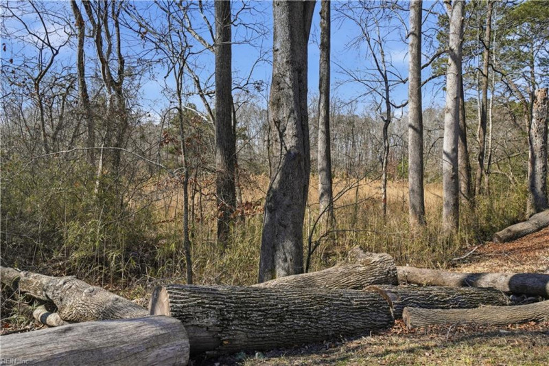 Photo 40 of 50 residential for sale in Suffolk virginia