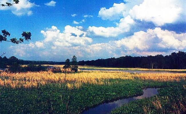 127 Constance Avenue, James City County, VA 23185