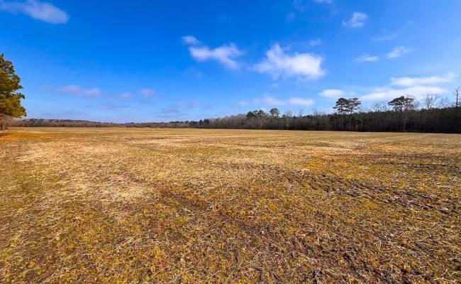 176 Acres West Road, Chesapeake, VA 23323