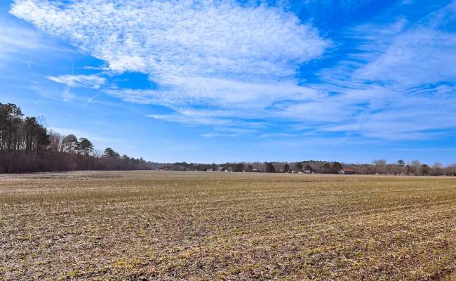 176 Acres West Road, Chesapeake, VA 23323