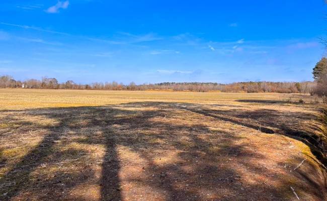 176 Acres West Road, Chesapeake, VA 23323