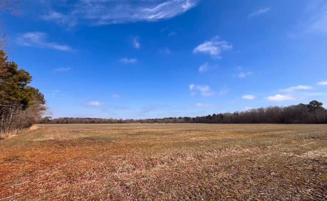 176 Acres West Road, Chesapeake, VA 23323