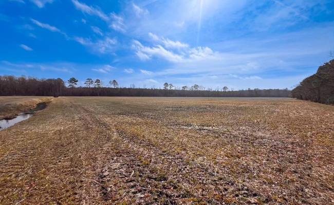 176 Acres West Road, Chesapeake, VA 23323