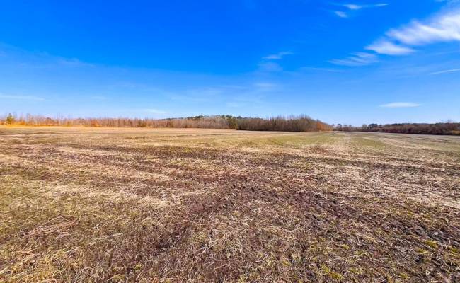 176 Acres West Road, Chesapeake, VA 23323