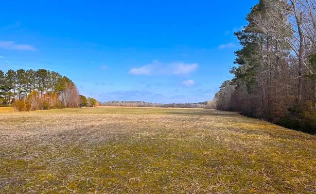 176 Acres West Road, Chesapeake, VA 23323