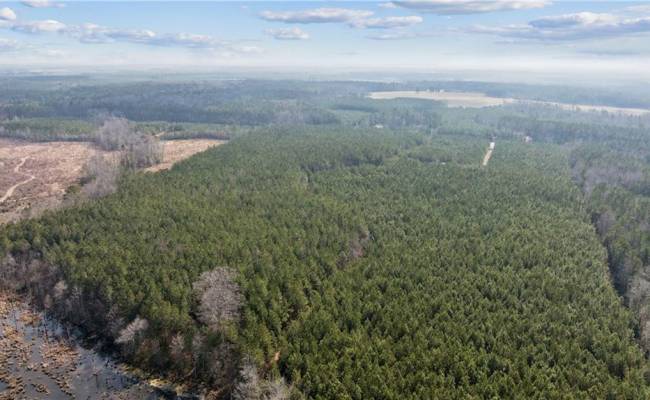 10445 Southampton Parkway, Southampton County, VA 23844