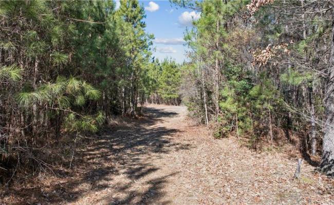 10445 Southampton Parkway, Southampton County, VA 23844