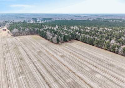 556 B Gallbush Road, Chesapeake, VA 23322