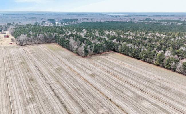 556 B Gallbush Road, Chesapeake, VA 23322