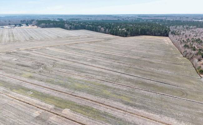 556 B Gallbush Road, Chesapeake, VA 23322