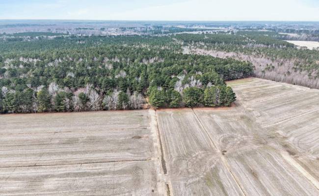 556 B Gallbush Road, Chesapeake, VA 23322