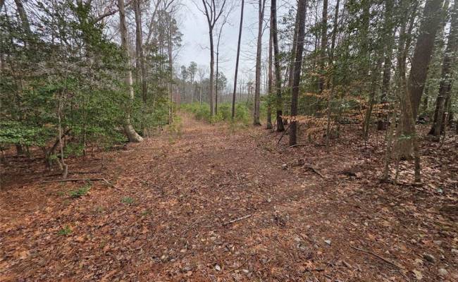 3.1+AC Buckskin Trl Trail, Gloucester County, VA 23061