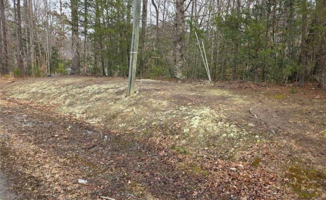3.1+AC Buckskin Trl Trail, Gloucester County, VA 23061