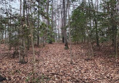 5.23Ac Courthouse Road, Charles City County, VA 23140