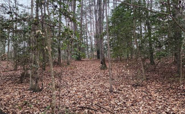 5.23Ac Courthouse Road, Charles City County, VA 23140