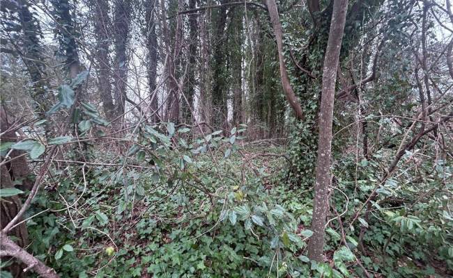 Lot 23 Lovers Lane, Isle of Wight County, VA 23487