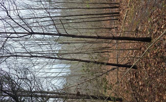 4200 John (304362300) Street, Suffolk, VA 23435