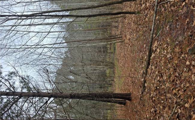 4200 John (304362300) Street, Suffolk, VA 23435