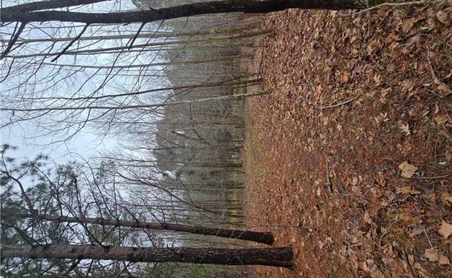 4200 John (304362300) Street, Suffolk, VA 23435