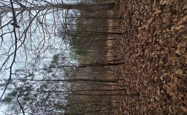 4200 John (304362300) Street, Suffolk, VA 23435