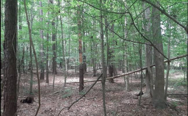 6608 Blackwater Road, Virginia Beach, VA 23457