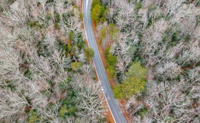 2.7 AC Colony Trail, New Kent County, VA 23124