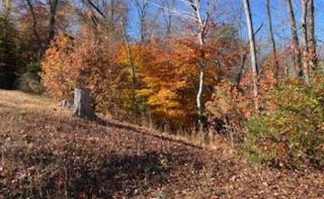 451 Eastwood Drive, Newport News, VA 23602